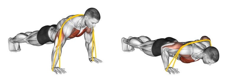 Resistance Band Push-up