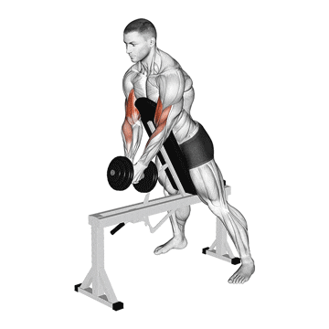 Single Dumbbell Standing Spider Curl