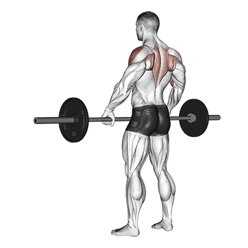 Wide Grip Barbell Upright Row