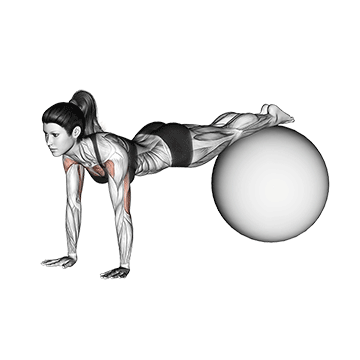 stability ball Decline Push-up
