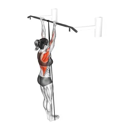 Band-Assisted Chin-Ups