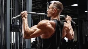 Best Gym Back Workout Machines