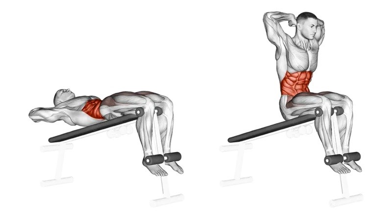 Decline Bench Sit Up