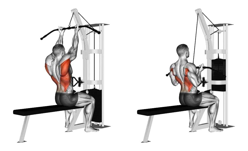 Reverse Grip Lat Pulldown Muscle Worked Benefits Alternates