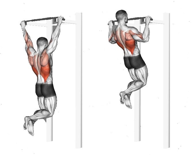 Isometric Holds Pull-Ups