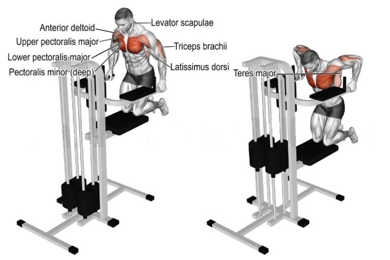 6 Best Chest Workout Machines (Best Exercises, Muscle Worked)