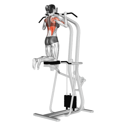 Pull Ups What Muscles Do They Work 