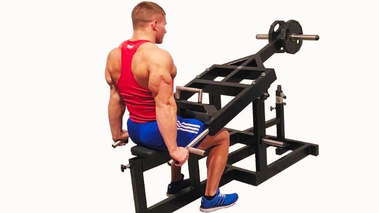 Machine Tricep Dip Muscles Worked Form Alternatives