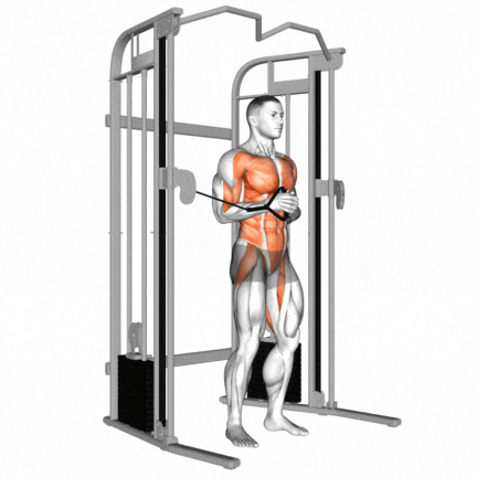 15 Best Cable Abs And Oblique Exercises To Build Strong Core