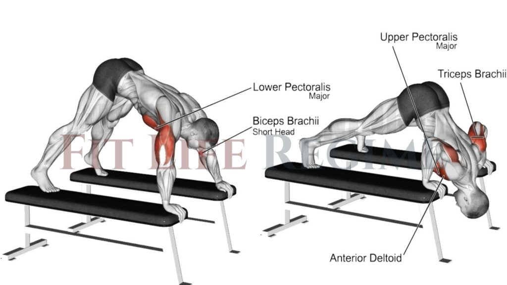 Pike Push-Up: Tips and Recommended Variations