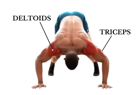 Pike Push Ups How To Do Muscles Worked And Form Pike Push Ups How To Do Muscles Worked And Form