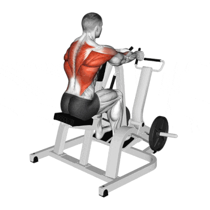 How To Do Seated Machine Row How To Do Seated Machine Row