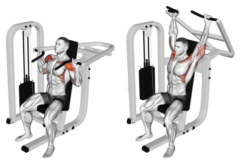 Shoulder Press Machine How To Do Muscles Worked Pro Tips Shoulder Press Machine How To Do Muscles Worked Pro Tips