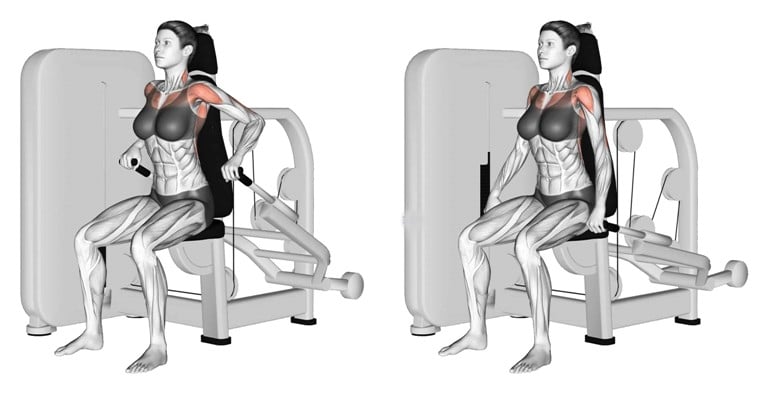 Tricep Machine Dip