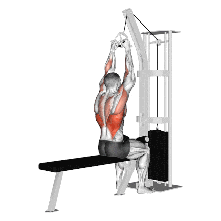 V-Bar Lat Pulldown