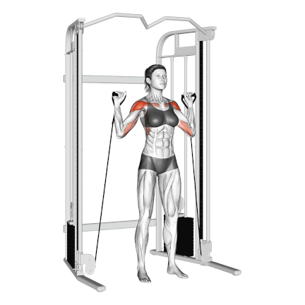 Cable Shoulder Press Cable Shoulder Press