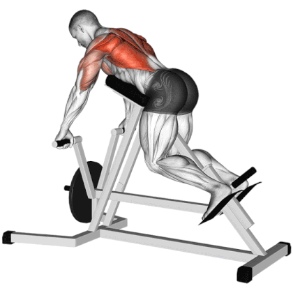 Chest Supported Row