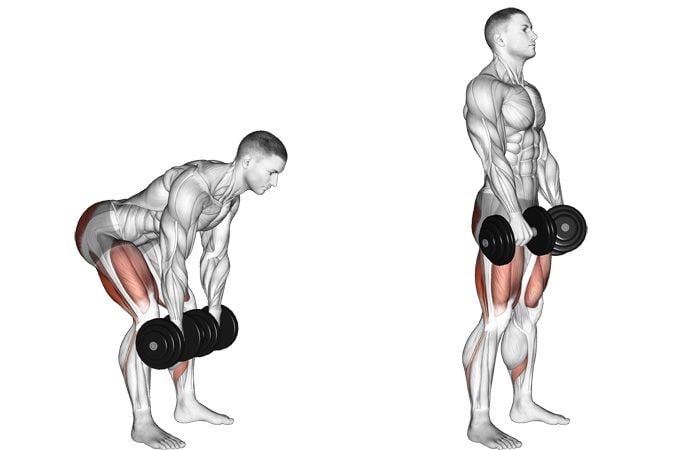 Dumbbell Deadlift