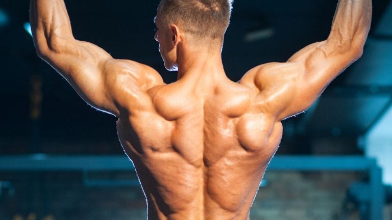 10 Best Lat Exercises for Home Workouts Build a Stronger Back