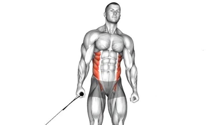 Resistance Band Oblique Side Bend