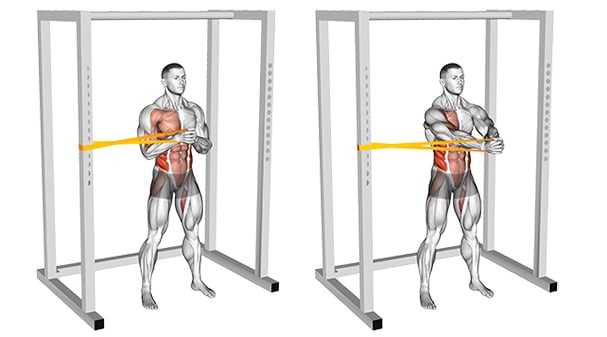 Resistance Band Pallof Press