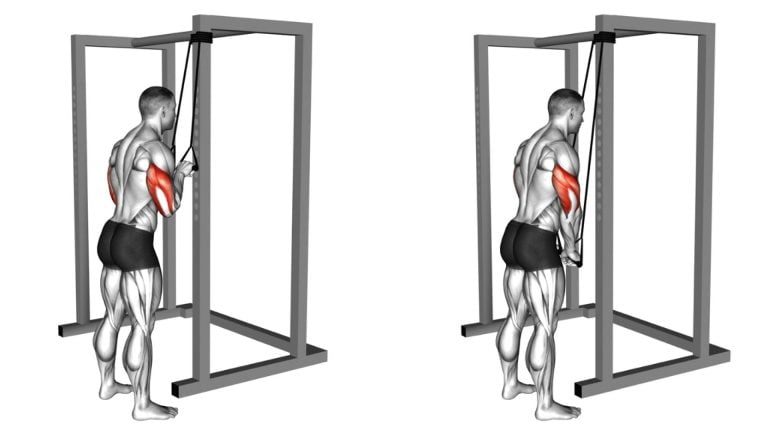 Resistance Band Tricep Pushdown