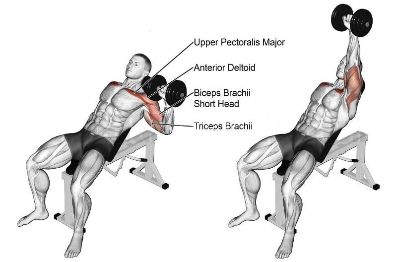 Single Arm Incline Dumbbell Press