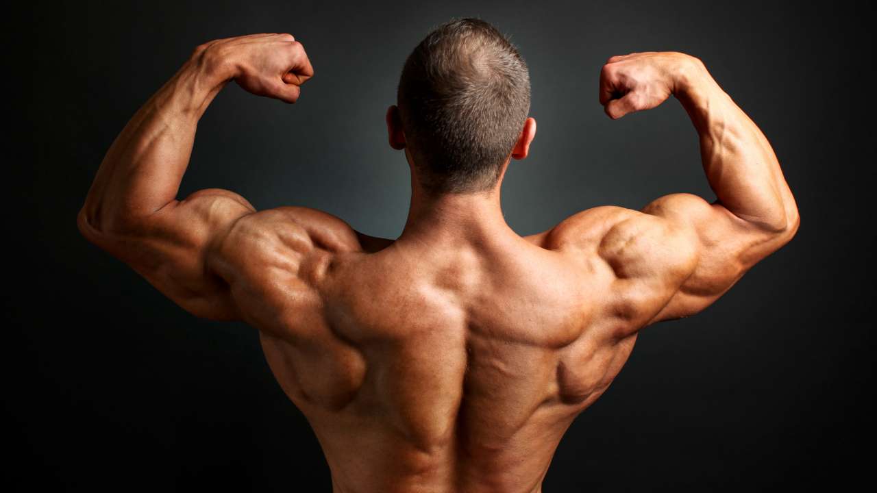 10 Best Wings Exercises To Build Mass and Strength