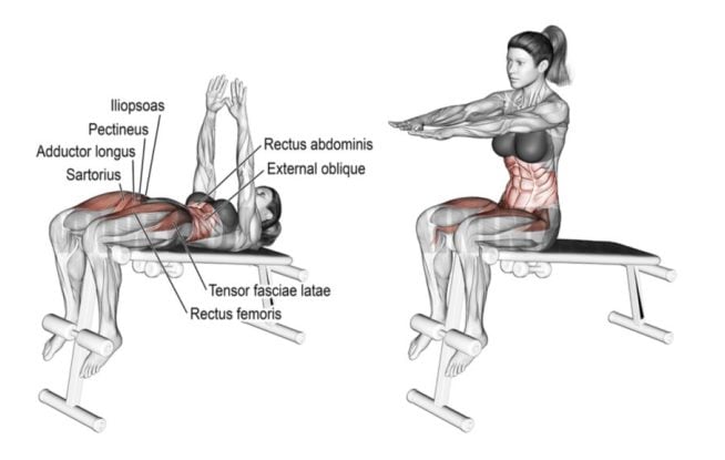 Bench Sit Ups