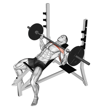 How To Do Incline Barbell Bench Press