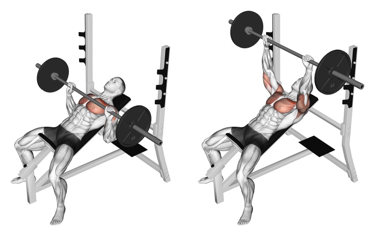 Incline Barbell Chest Press Angle