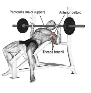 Incline Barbell Bench Press (Expert Tips Inside)