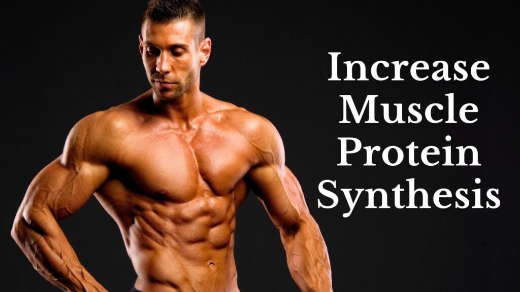 Increase Muscle Protein Synthesis
