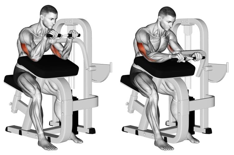 Machine Triceps Extension