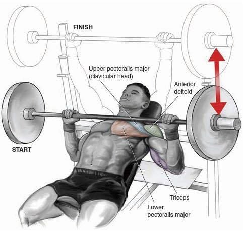 Muscles Worked During Incline Chest Press