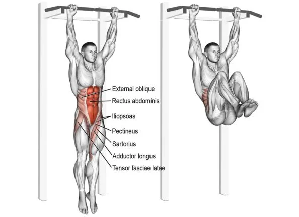 Pull Up Bar For Abs Workout