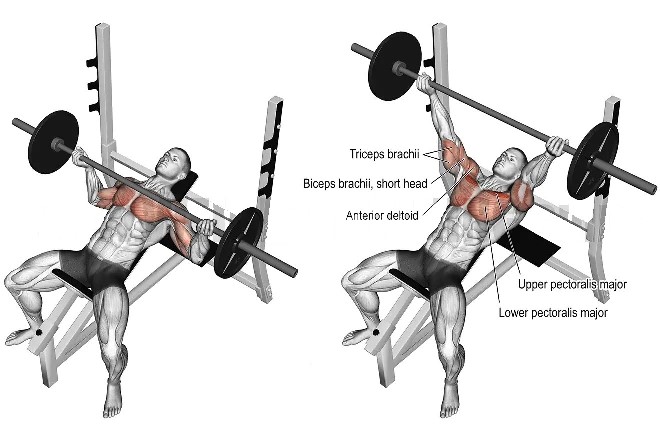 Reverse Grip Incline barbell Bench Press