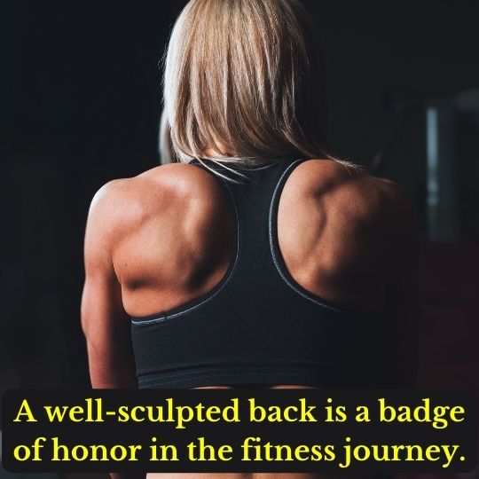 A well-sculpted back is a badge of honor in the fitness journey.