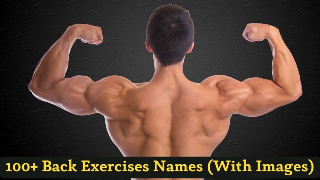 100+ Top Back Exercises Names (With Images)