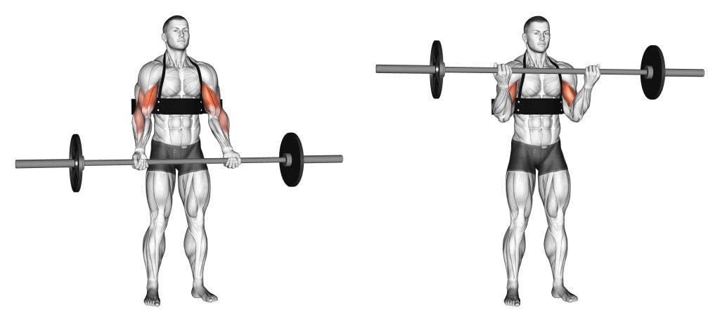 Barbell Curl on an Arm Blaster
