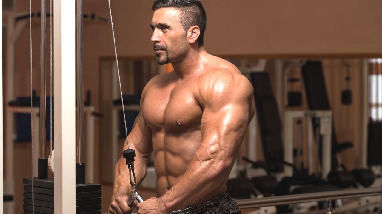 Best Triceps Workout Exercises Of All Time