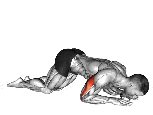 Bodyweight Triceps Extension
