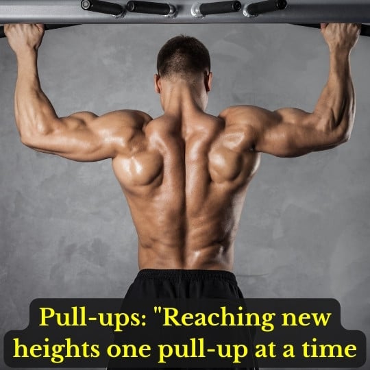 Captions for Different Back Exercises
