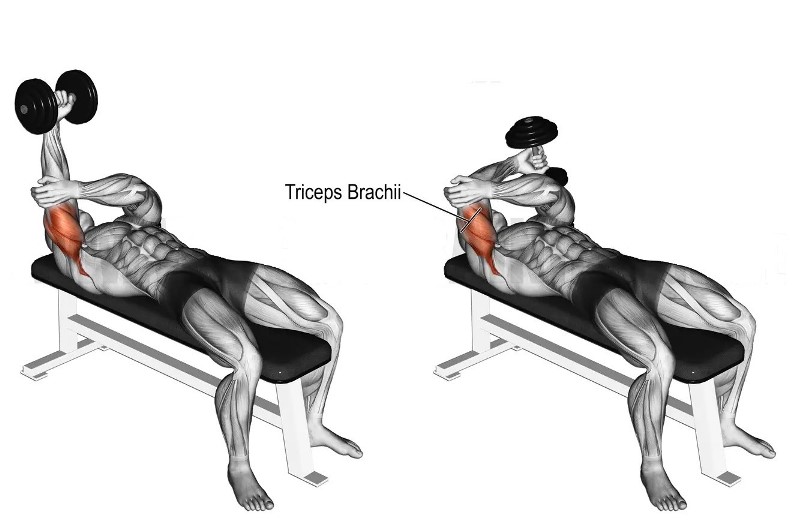 Dumbbell Cross-Body Tricep Extension