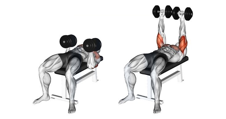 Dumbbell Twisting Bench Press
