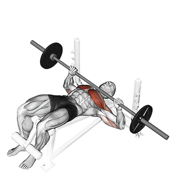How To Do Decline Barbell Bench Press