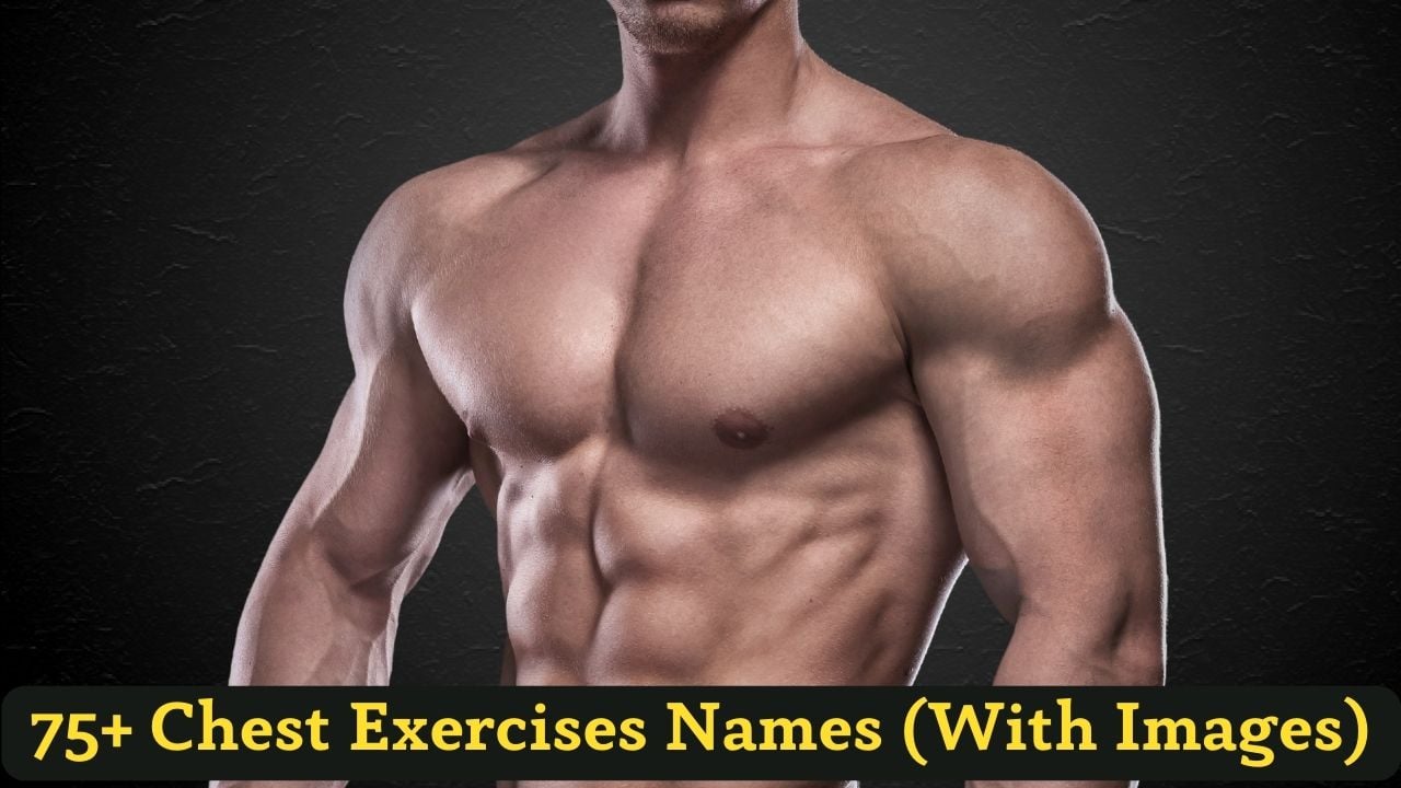 Name Of Chest Exercises