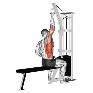 One Arm Lat Pulldown