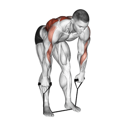 Resistance Band Bent Over Row