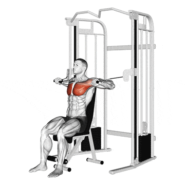 Seated Cable Chest Press.